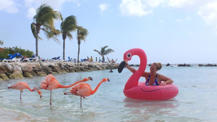 flamingo-island-aruba-copy