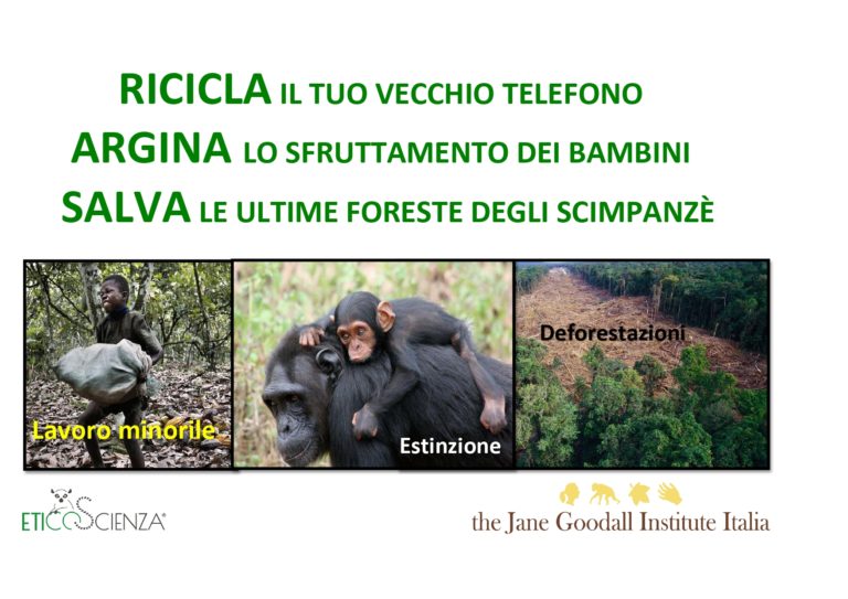JANE GOODALL INS ITALIA - CELL 4.1_page-0001
