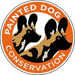 www.painteddog.org