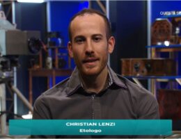 christian lenzi