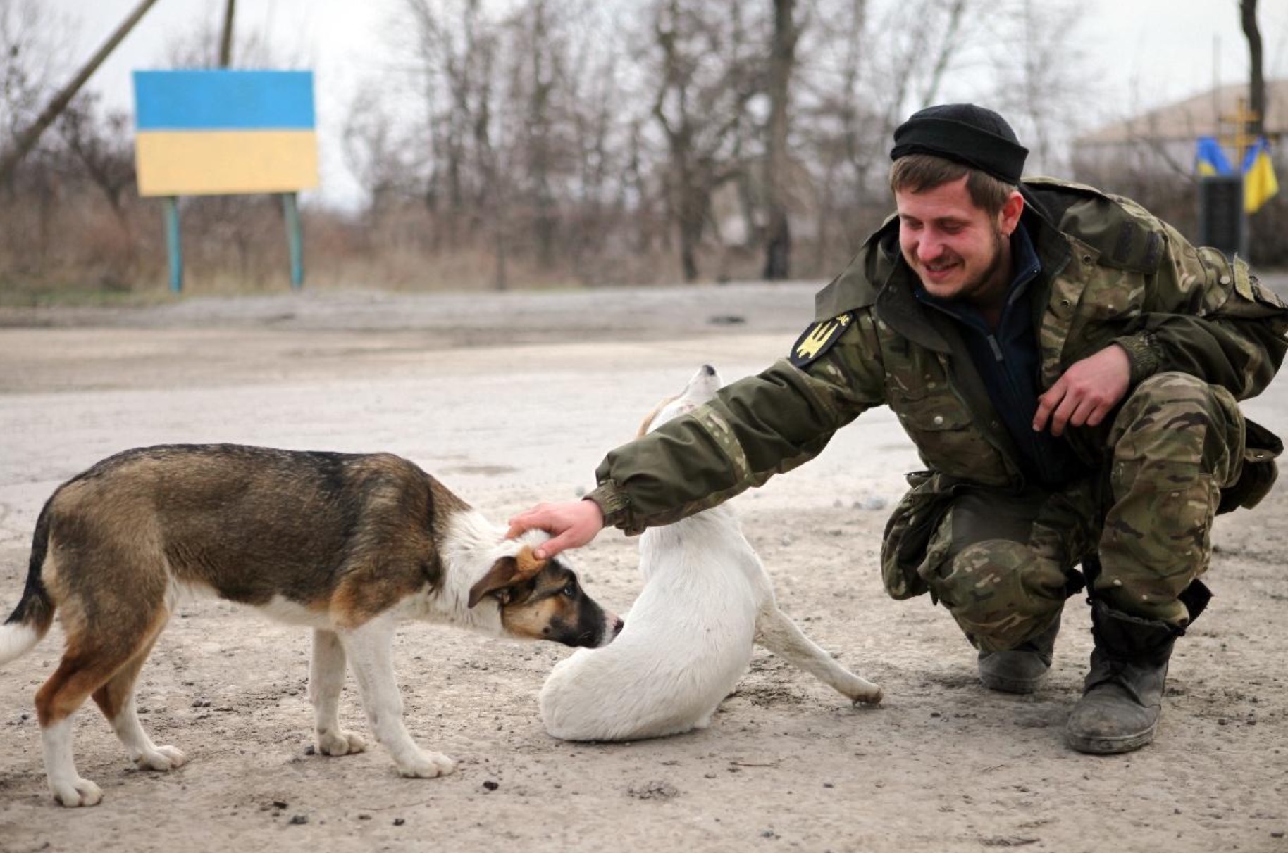 aiutare animali ucraina