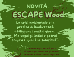 escape wood