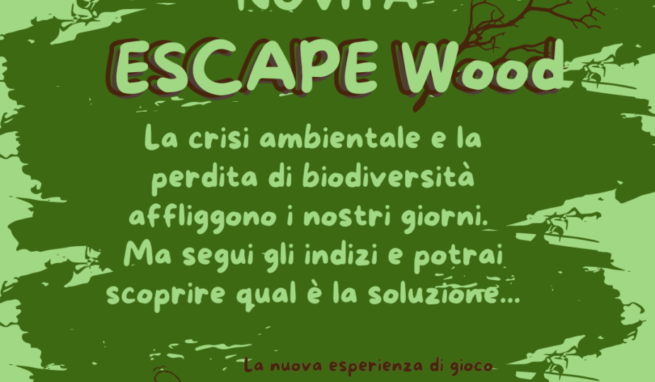 escape wood
